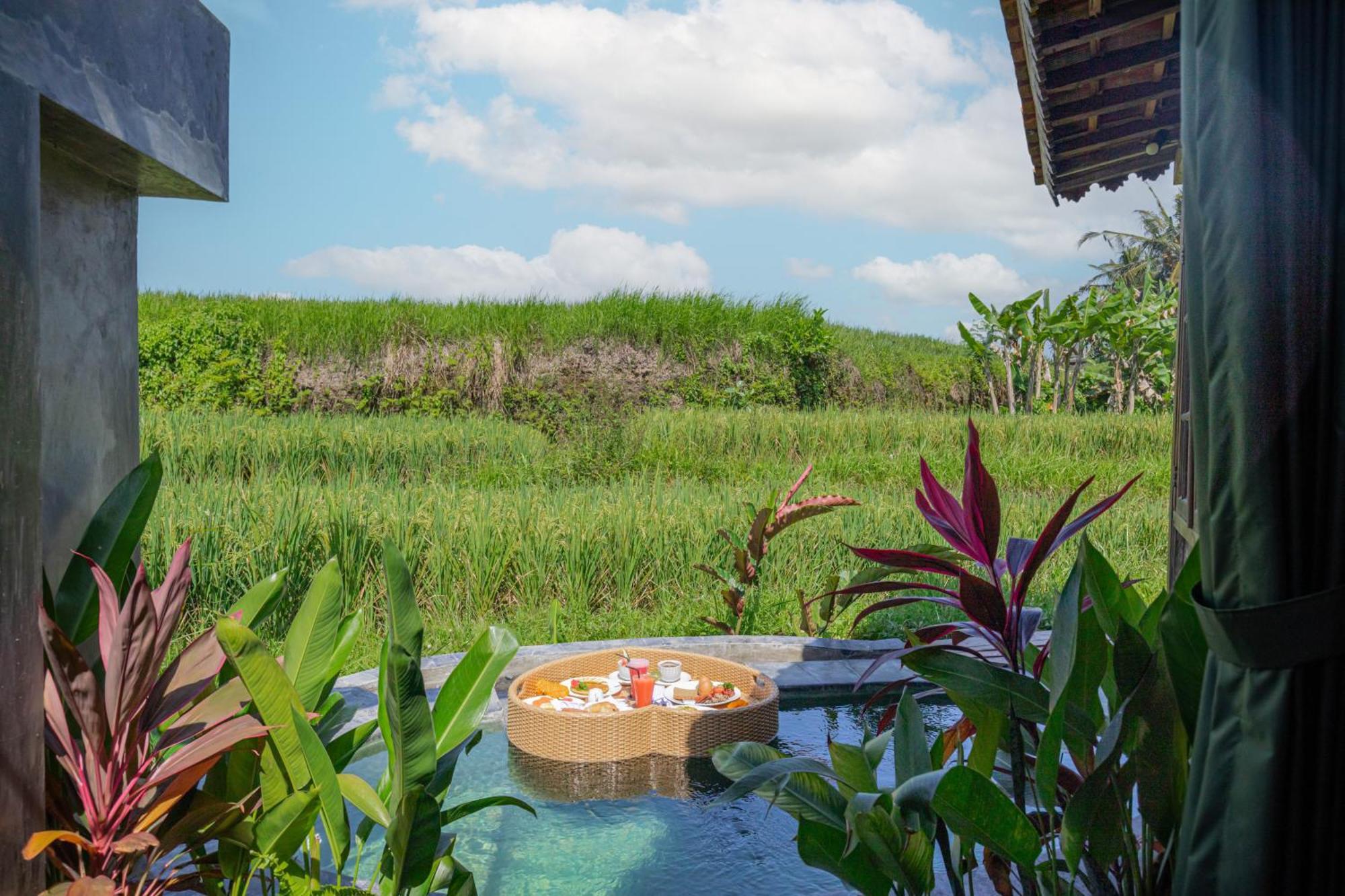 Abian Ubud View Luaran gambar